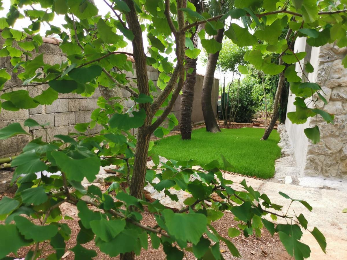 Ginko House Opatija Exterior foto