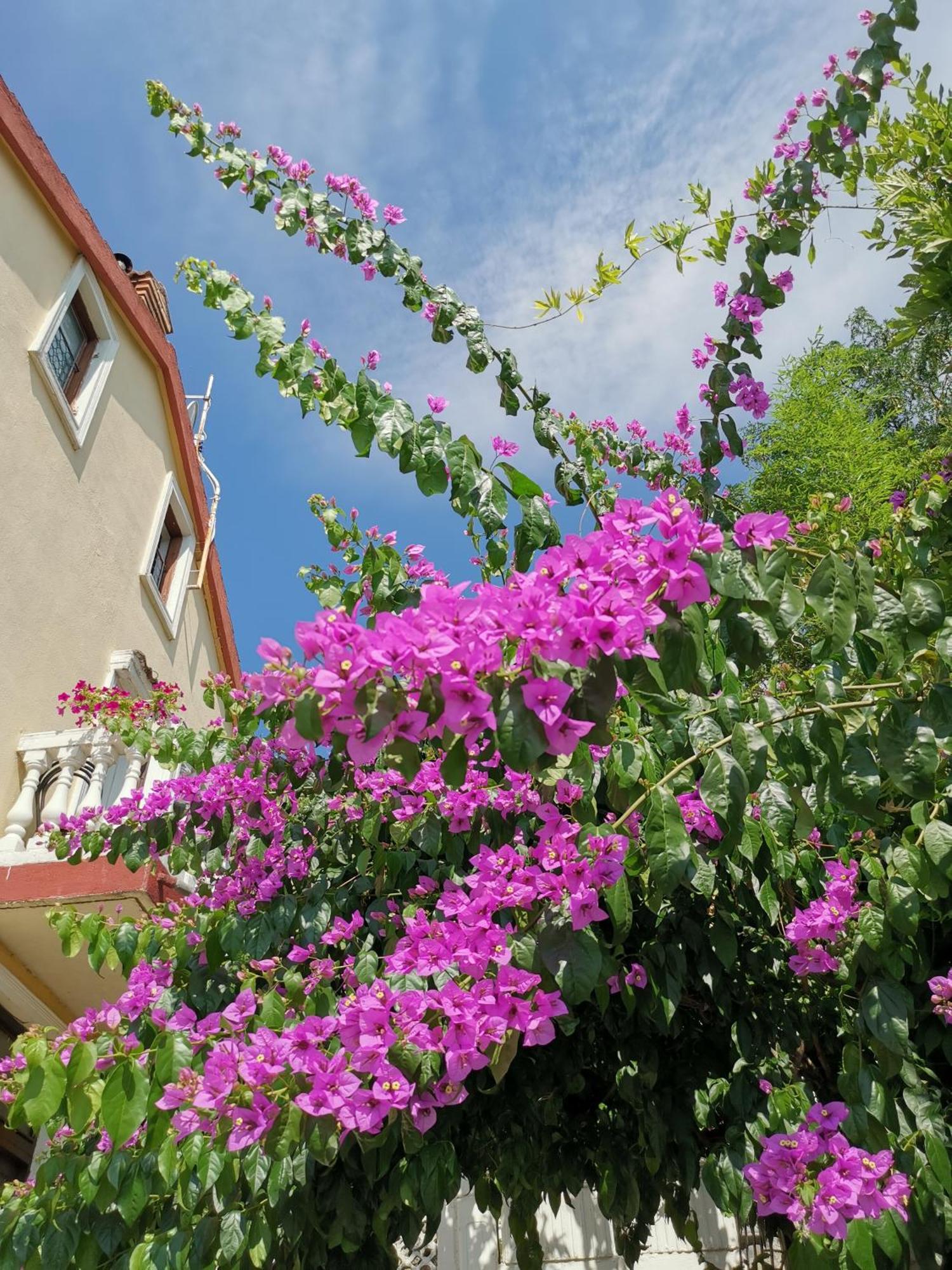 Ginko House Opatija Exterior foto